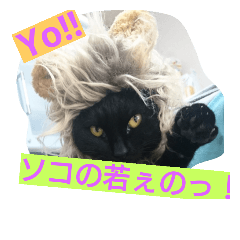 [LINEスタンプ] 我が家とお隣の猫 