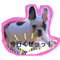 [LINEスタンプ] フレンチブルのエルビス