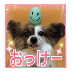 [LINEスタンプ] パピヨン犬いつも仲良しパピパピ部フレンズ