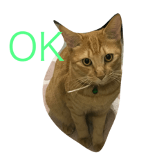 [LINEスタンプ] れもんとすだち
