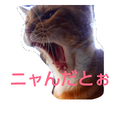[LINEスタンプ] ゆずと仲間たち2