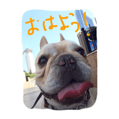 [LINEスタンプ] 八太郎の“今日もやったろー！”