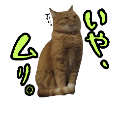 [LINEスタンプ] ネコのはなお嬢