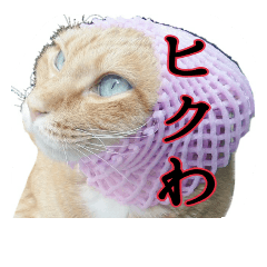 [LINEスタンプ] たまごねこねこ2