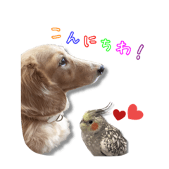 [LINEスタンプ] 愛犬 ジャック