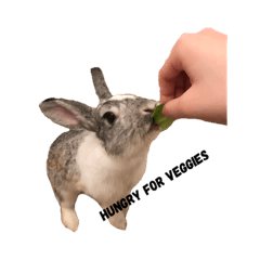 [LINEスタンプ] TINY PETTING Z00