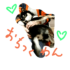 [LINEスタンプ] Everyday of runa