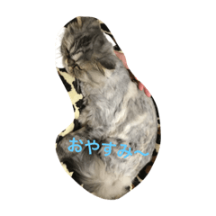 [LINEスタンプ] もっぷちゃんスタンプ