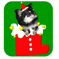 [LINEスタンプ] クリスマスワンコ