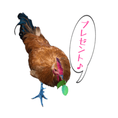 [LINEスタンプ] 鶏が愛を表現