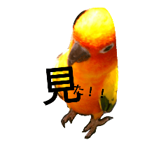 [LINEスタンプ] 見ました