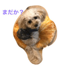 [LINEスタンプ] アフロ 工藤