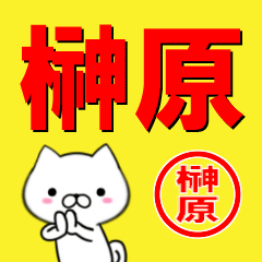 [LINEスタンプ] 超★榊原(さかきはら・さかきばら)の画像（メイン）