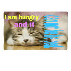 [LINEスタンプ] CAT111