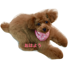 [LINEスタンプ] モコモコモコちゃん