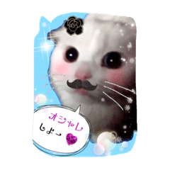 [LINEスタンプ] 吾輩はルチア
