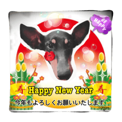 [LINEスタンプ] A happy new year.by Cullinan