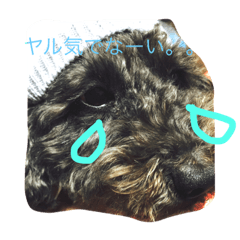 [LINEスタンプ] ジャックで初めてのスタンプ