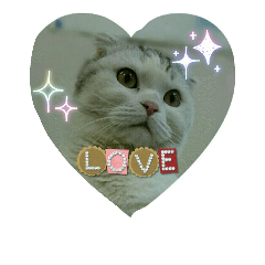 [LINEスタンプ] たまとゆかいな仲間達