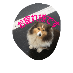[LINEスタンプ] inunekoI LOVE YOU
