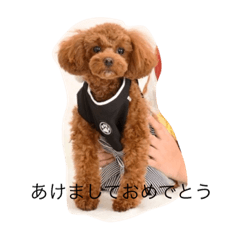 [LINEスタンプ] moco.10