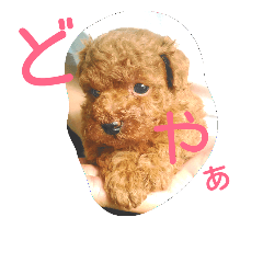 [LINEスタンプ] くるみのくぅ2