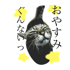 [LINEスタンプ] 猫と裕介