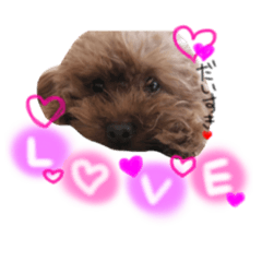 [LINEスタンプ] ramu＆muu