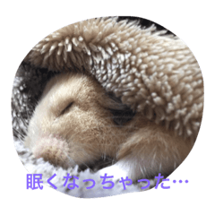 [LINEスタンプ] my hamster-chan