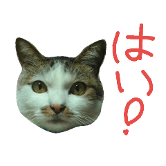 [LINEスタンプ] 我が家のちびちゃん