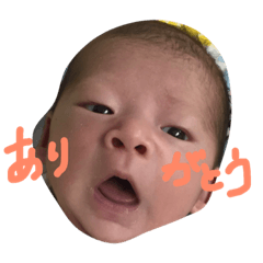 [LINEスタンプ] そーーーちゃん