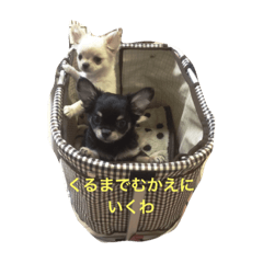 [LINEスタンプ] 福夢さん2