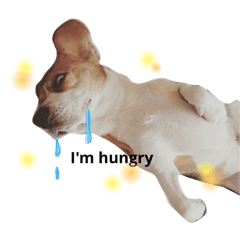 [LINEスタンプ] 金太郎^ ^