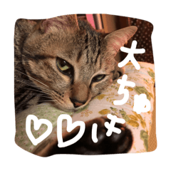 [LINEスタンプ] noel＆nobu