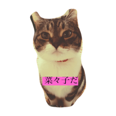 [LINEスタンプ] I♡菅原菜々子5