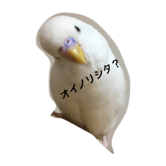 [LINEスタンプ] ピーちゃんのヒトコト