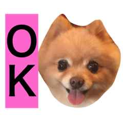 [LINEスタンプ] PINK！！！