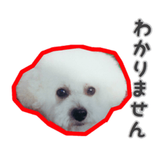 [LINEスタンプ] モコくん×リンくん2