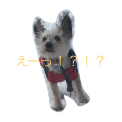 [LINEスタンプ] ミミ＆カイ