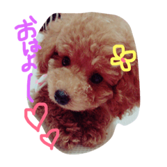 [LINEスタンプ] うちのまよねーずくん