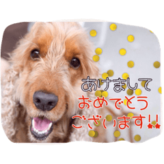 [LINEスタンプ] さんちゃんの休日