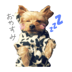 [LINEスタンプ] A＆M ヨーキーちゃん
