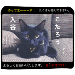 [LINEスタンプ] こたり2