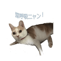 [LINEスタンプ] ミルクスタンプ5