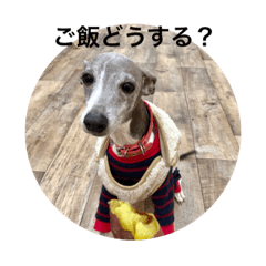 [LINEスタンプ] イタグレ ピーチの癒し系スタンプ1