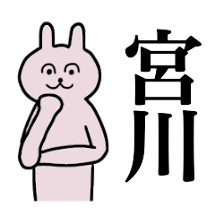 [LINEスタンプ] 宮川さん 名字スタンプ