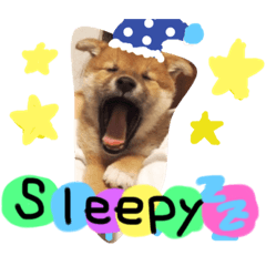 [LINEスタンプ] モコちゃん。