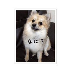[LINEスタンプ] stampof everyday