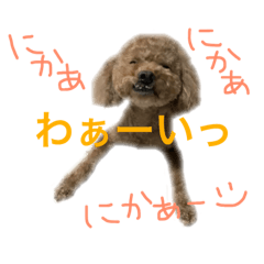 [LINEスタンプ] 愛嬌たっぷりしゃくれトイプちゃん