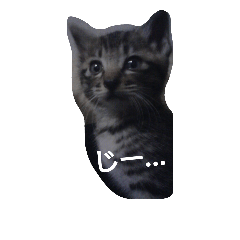 [LINEスタンプ] HIME_